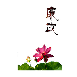 出淤泥而不染