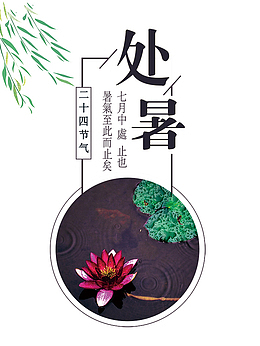处暑节气荷塘