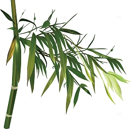 清明节手绘竹子素材