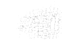 矢量蛇皮素材
