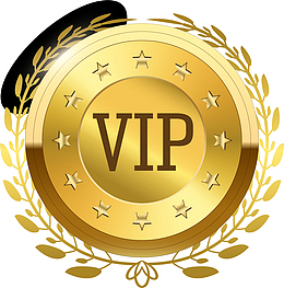 金色大气vip徽章