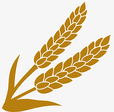 卡通风景叶子大麦psdpng淘宝营养早餐小麦色海报banner背景psdjpg卡通