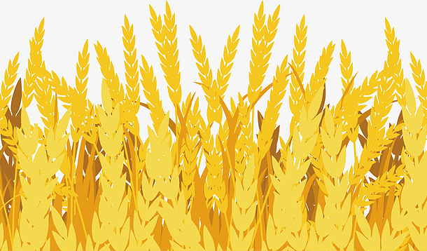 小麦矢量图png卡通田园农场png时尚麦田风景设计矢量素材png金色的