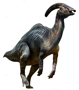 副栉龙属灭绝生物实物