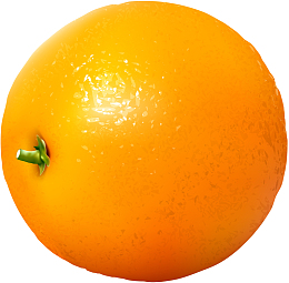 新鲜金色橘子矢量图