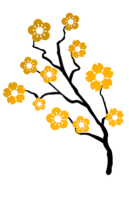 可爱的金梅花免抠图