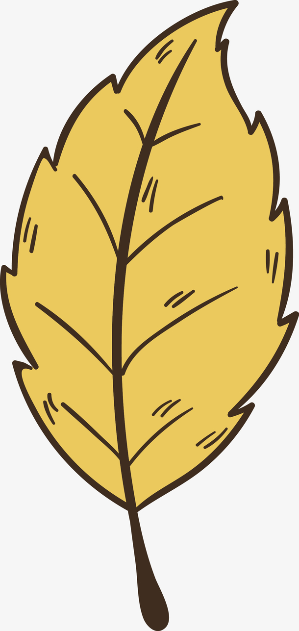 手绘金色叶子矢量图