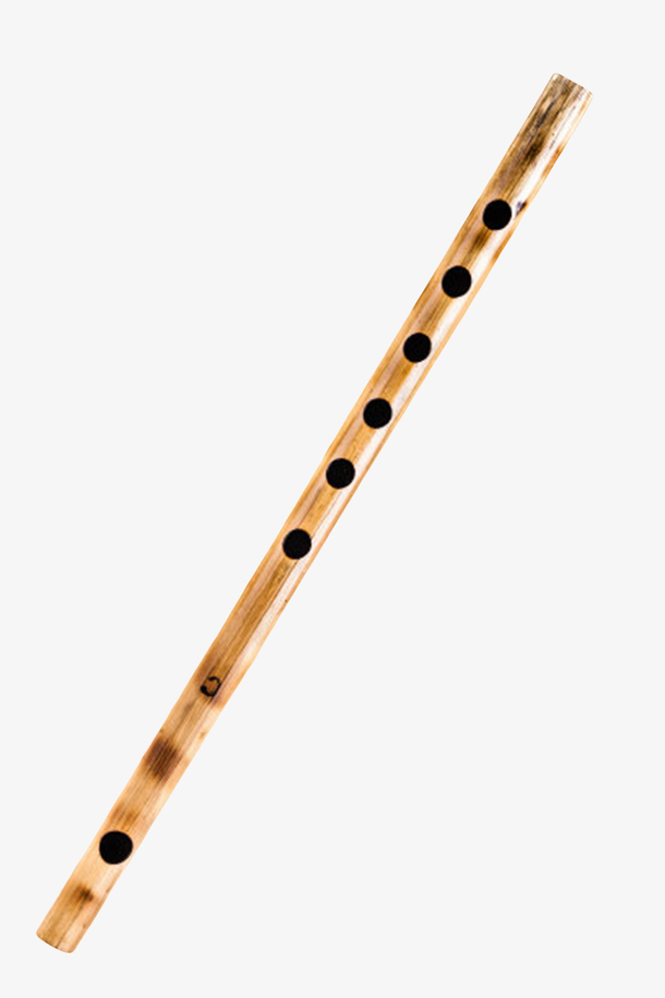 金色乐器竖笛实物