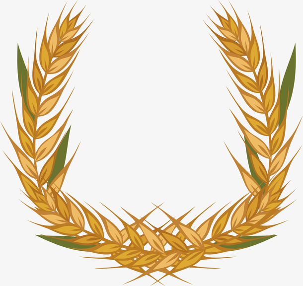 金色麦子装饰边框