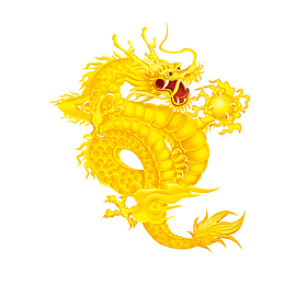金色的龙节日特色