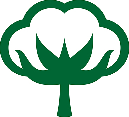 棉花花朵矢量素材图