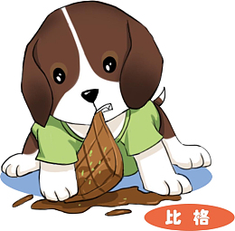 撕咬巧克力的比格小狗
