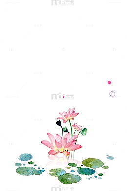 粉色荷花