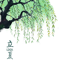 简约立夏节气树荫素材
