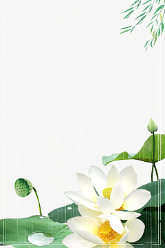 边框psdpng手绘小清新荷花插画psdpng荷塘月色清新海报背景psdjpg夏天