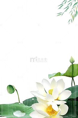 立夏荷花主题装饰边框