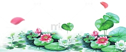 夏天手绘水彩荷花插画