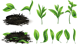 矢量绿色茶叶下载