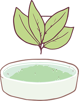 蓝色清新茶叶茶杯