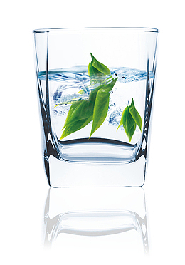 一杯茶叶水矢量素材
