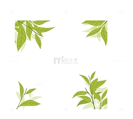 清香绿色夏季茶叶