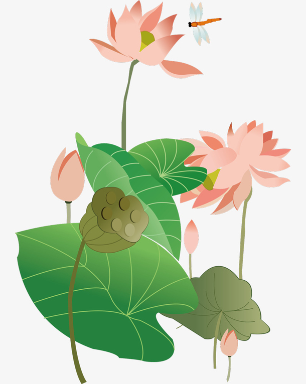 立夏手绘清新淡雅荷花莲蓬荷叶与