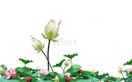 清明节手绘荷塘景色插画