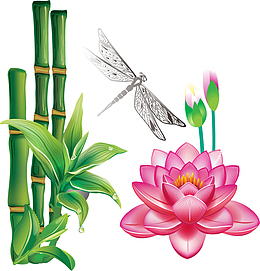 荷花竹子矢量