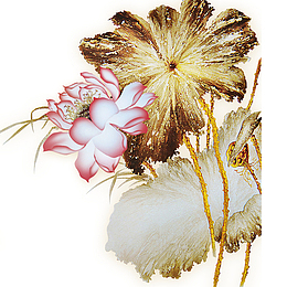 荷花