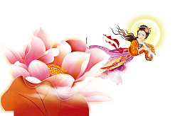 粉色荷花美女嫦娥
