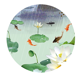 中国风下雨怀旧荷花