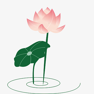 手绘清新装饰插图睡莲插画