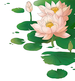 手绘水墨水彩写实插图荷塘荷花荷