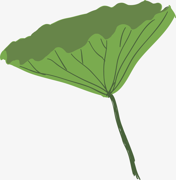 卡通立夏荷叶装饰插画素材免费下载_觅元素
