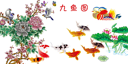 卡通鱼池里的鸳鸯金鱼