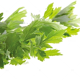 青团材料青色艾草