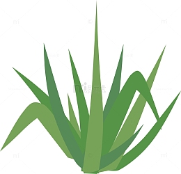 简单小草缥缈的小草