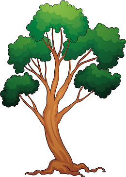 大树线条百年大树