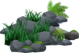 春意盎然野外小草