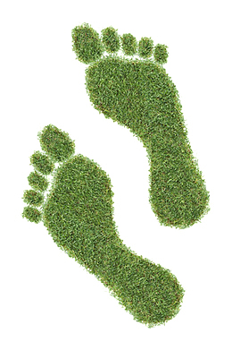 绿色小草组成的人类脚印素材