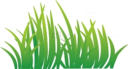 绿草节日装饰假草