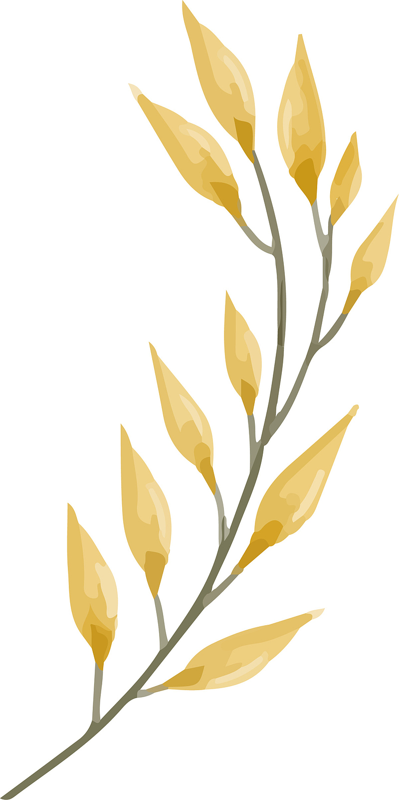 黄色水彩美丽树枝