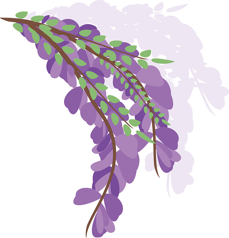 矢量图紫色的薰衣草