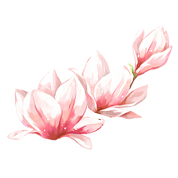 春季踏青春天的花朵