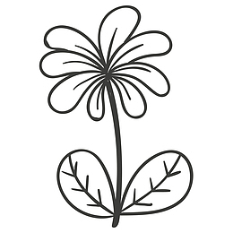花朵简易画