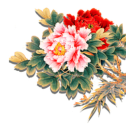 东北大红花素材