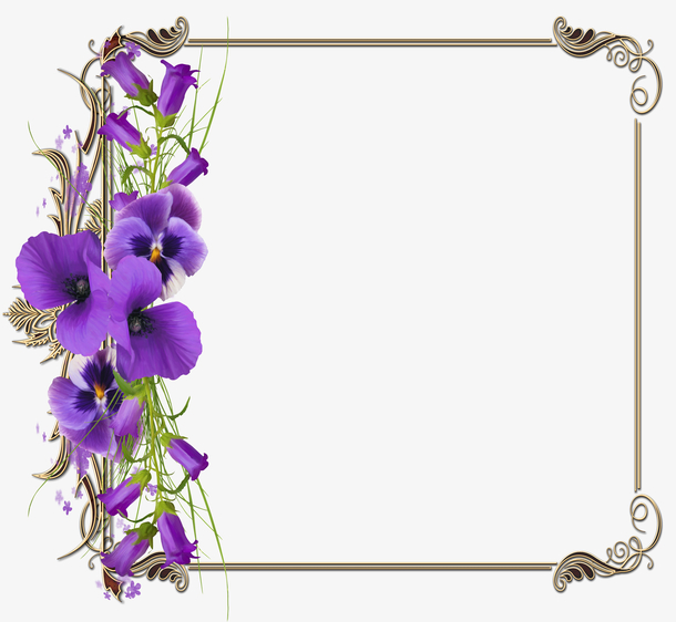 花朵 花瓣 相框素材免费下载_觅元素