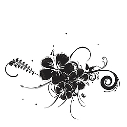 盛开的木槿花花朵