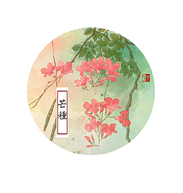 清新文艺芒种图标