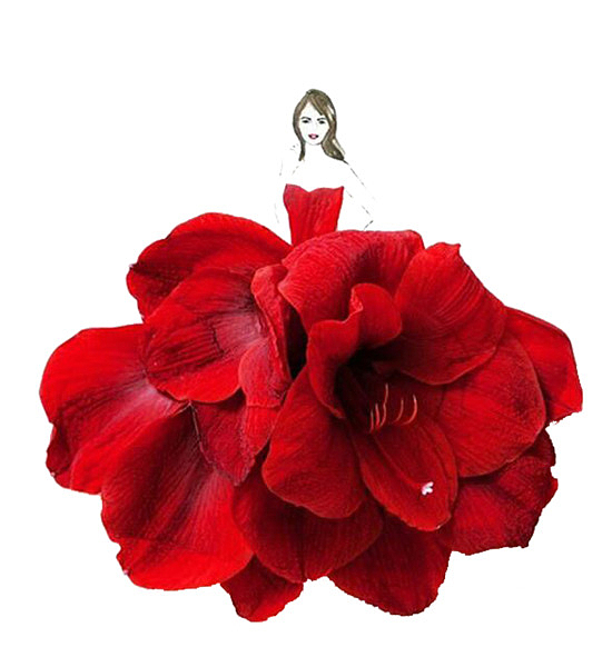 红色花朵美女